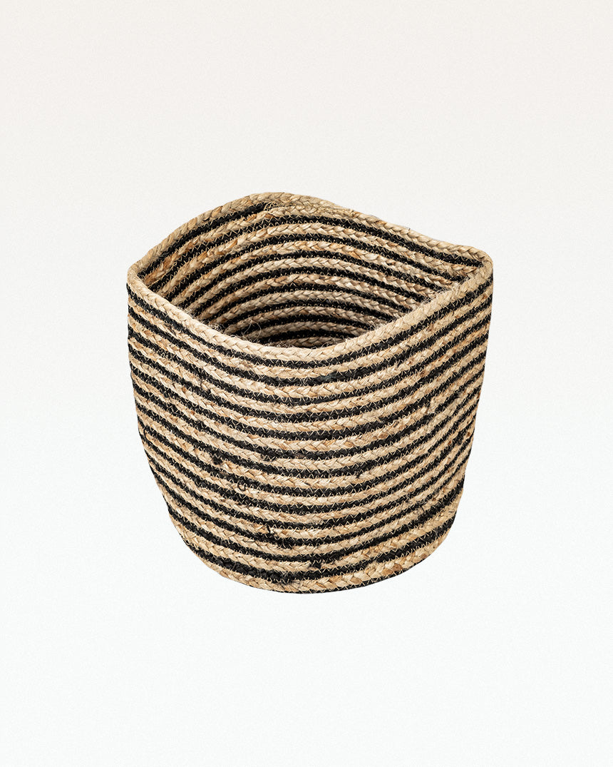 Juncea Jute Planter