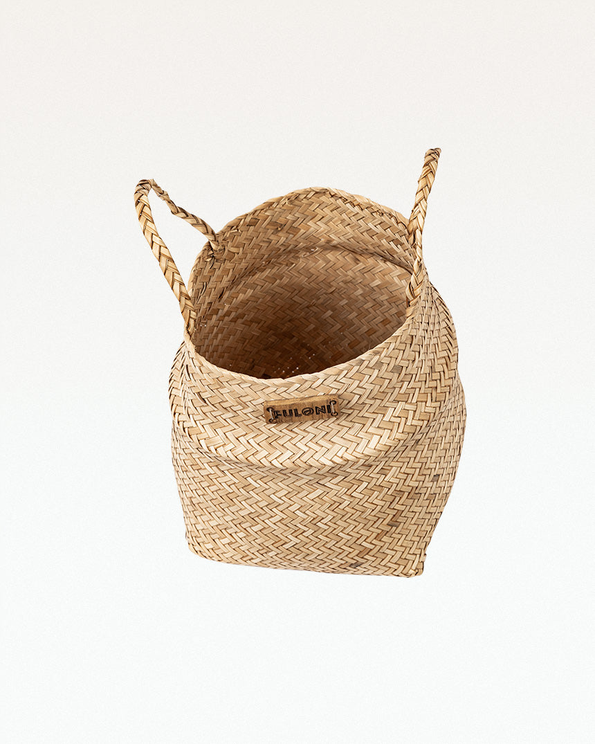 PatiDoi Sitalpati Planter