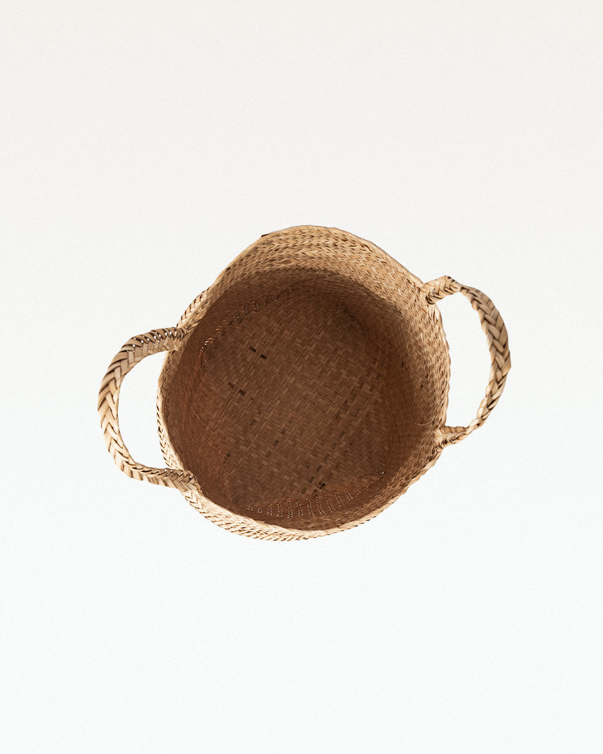 PatiDoi Sitalpati Planter