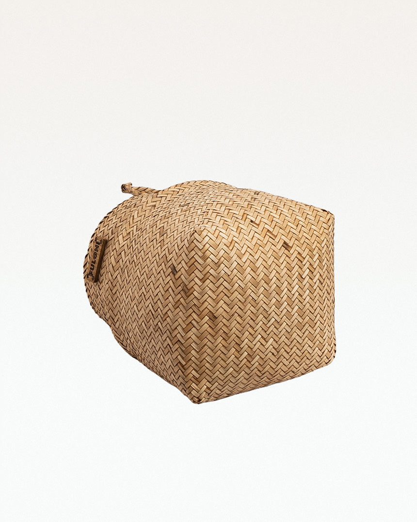 PatiDoi Sitalpati Planter