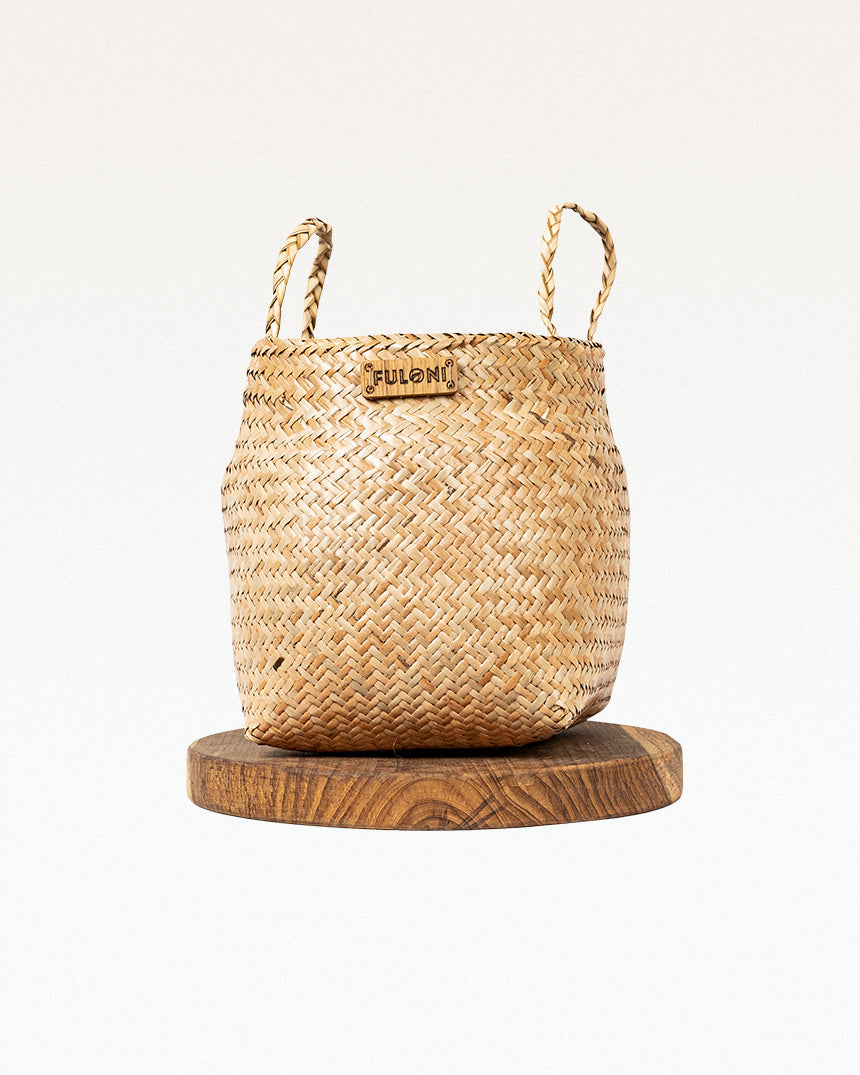 Paitara Sitalpati Planter