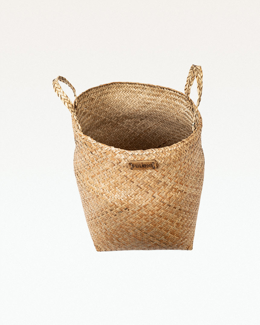 Paitara Sitalpati Planter