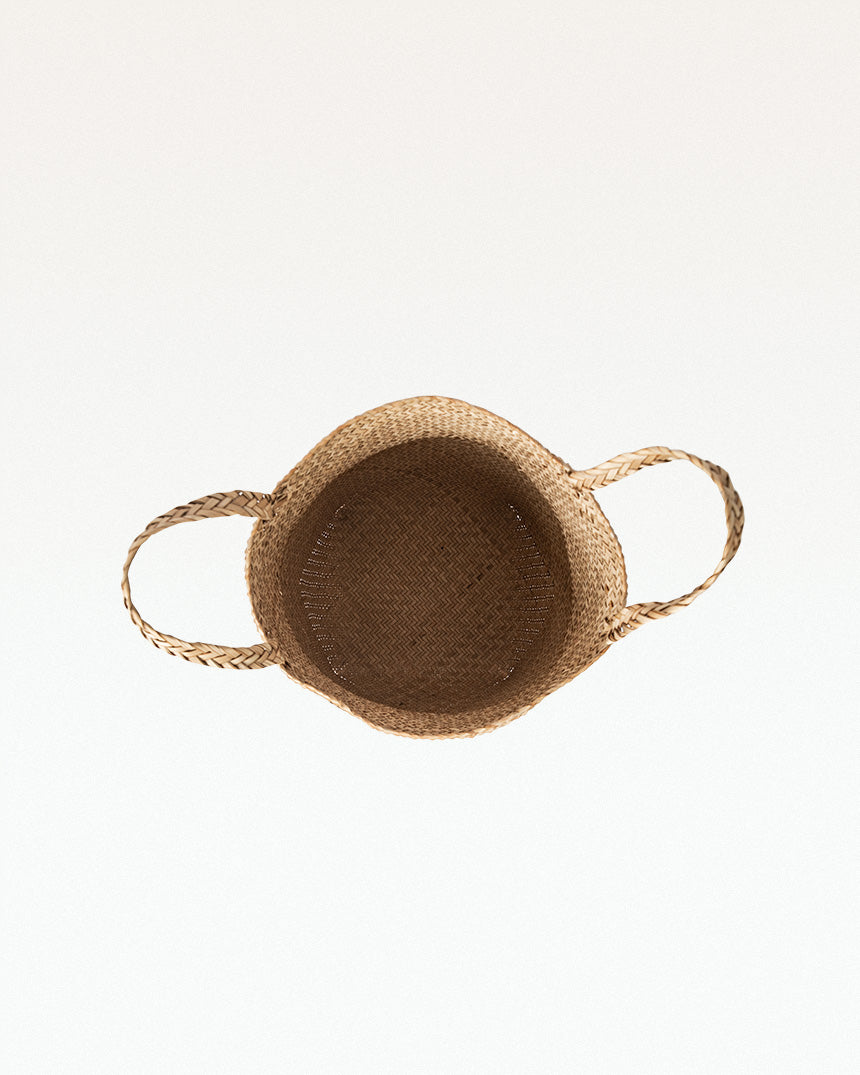 Paitara Sitalpati Planter