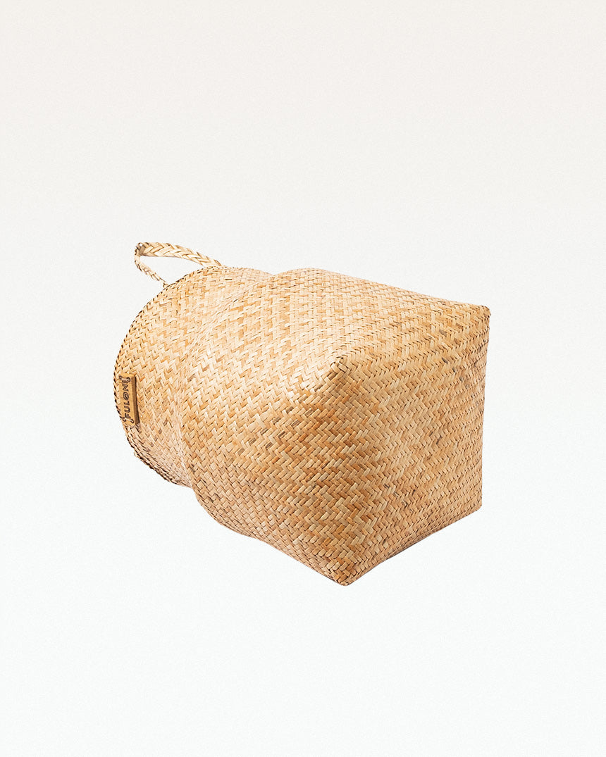 Paitara Sitalpati Planter