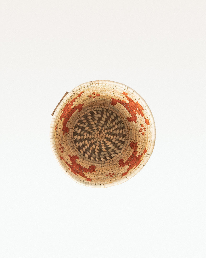 Bobai Sabaigrass Planter