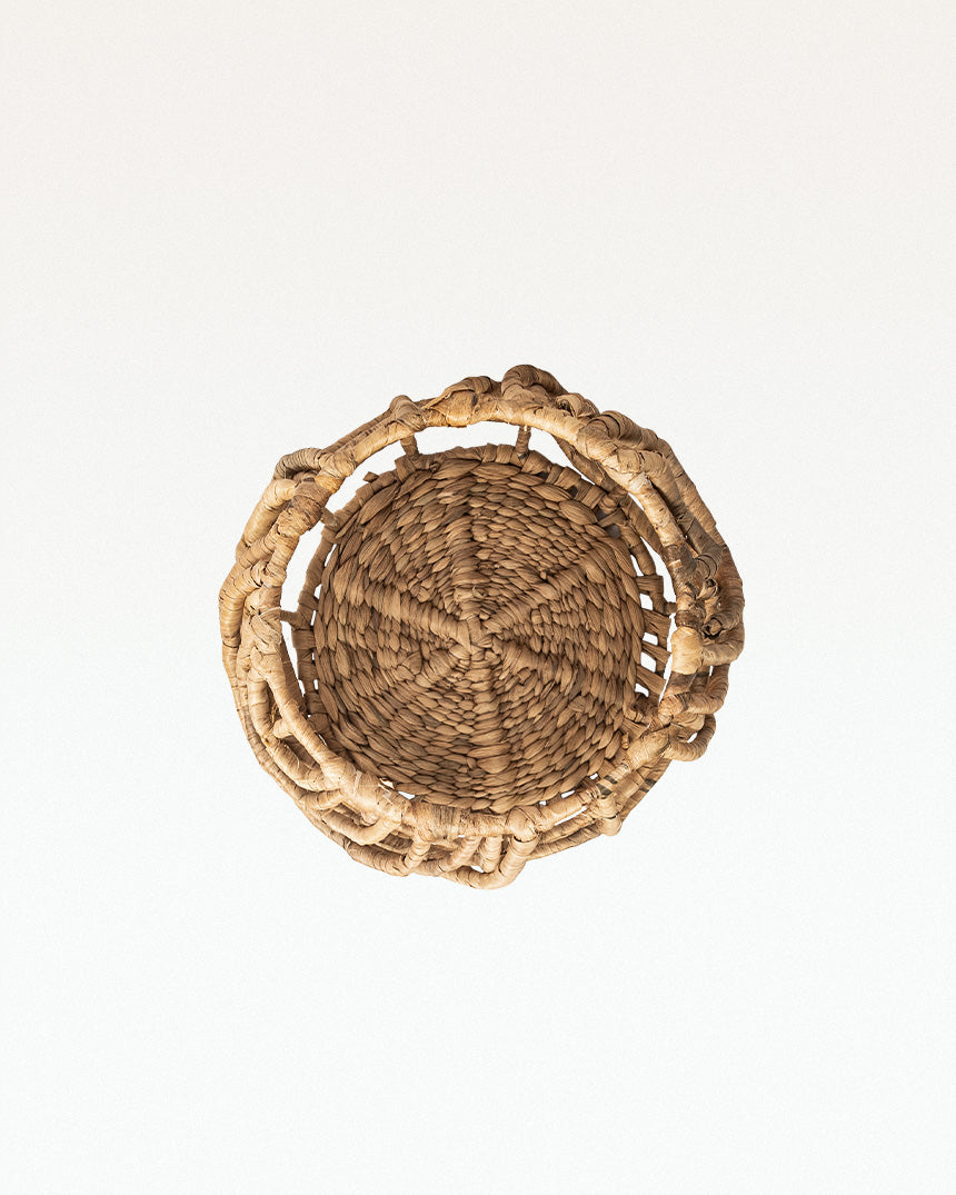 Ponte Water Hyacinth Planter