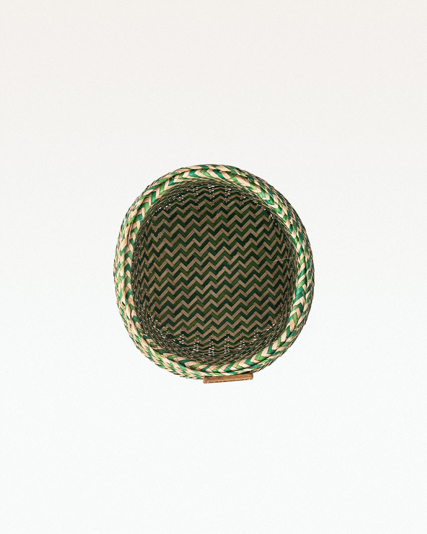 Anthus Sitalpati Planter