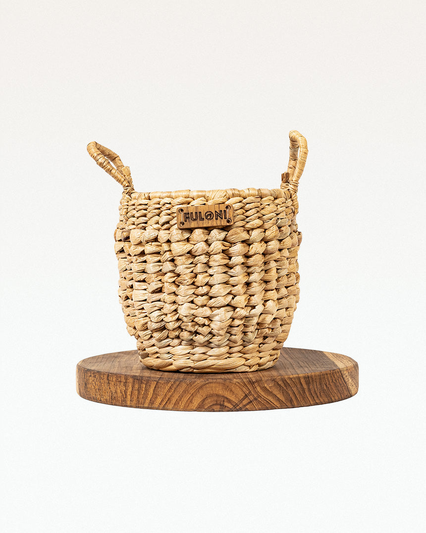 Crassi Water Hyacinth Planter