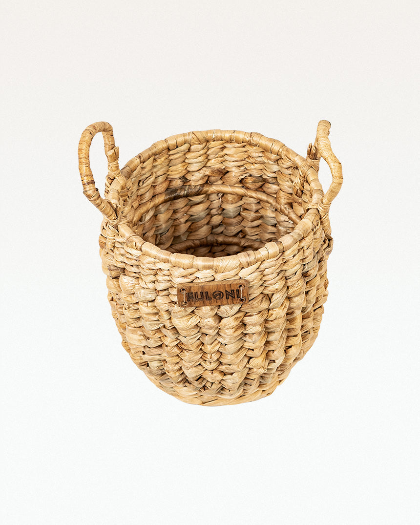 Crassi Water Hyacinth Planter