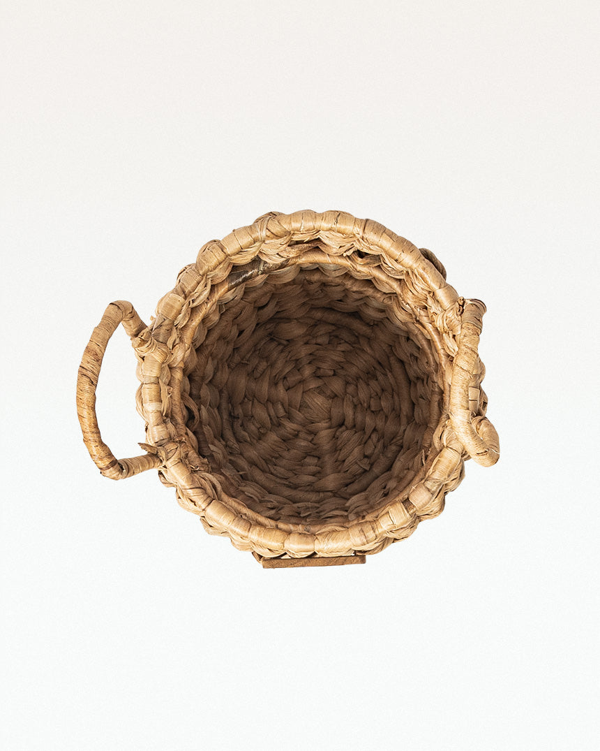 Crassi Water Hyacinth Planter