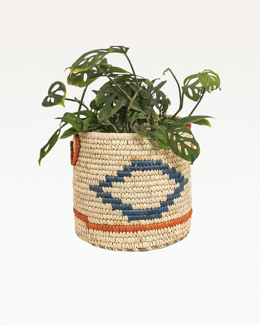 Alpine Sabaigrass Planter