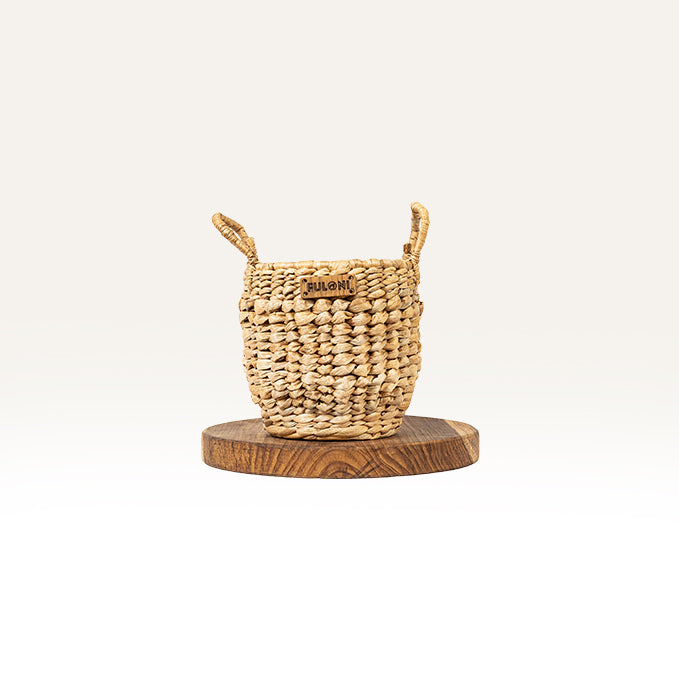 Crassi Water Hyacinth Planter