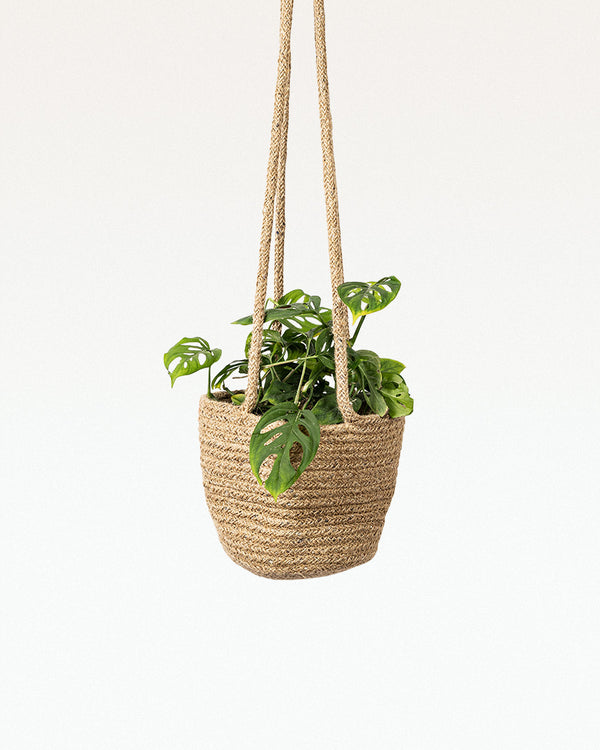 Allyott Jute Hanging Planter
