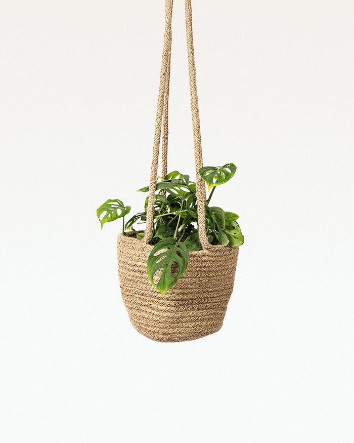 Allyott Jute Hanging Planter