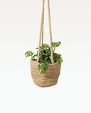 Load image into Gallery viewer, Allyott Jute Hanging Planter