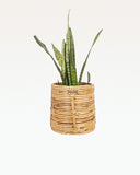 Load image into Gallery viewer, Rotan Cane Planter