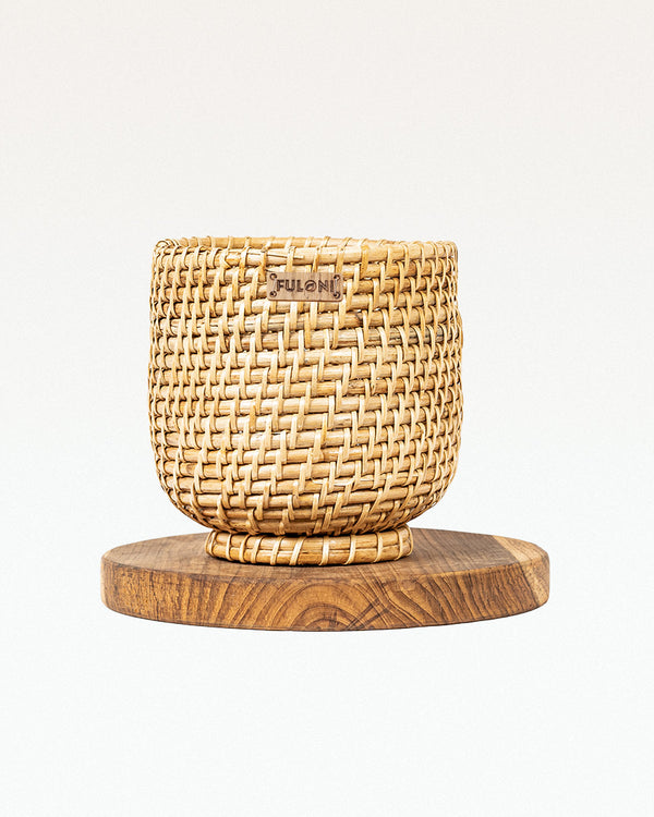 Malaca Cane Planter