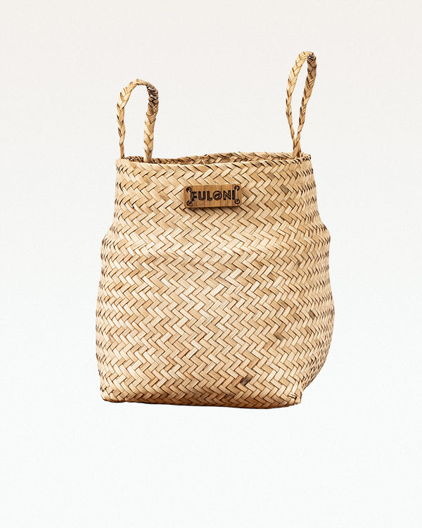 PatiDoi Sitalpati Planter