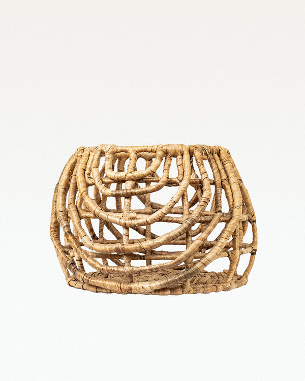 Ponte Water Hyacinth Planter