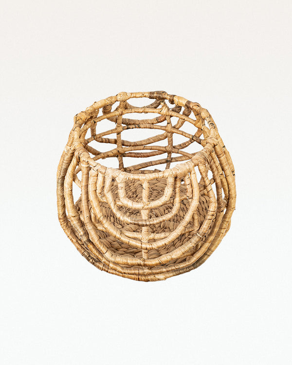 Ponte Water Hyacinth Planter