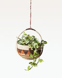 Load image into Gallery viewer, Spodio Sabaigrass Hanging Planter